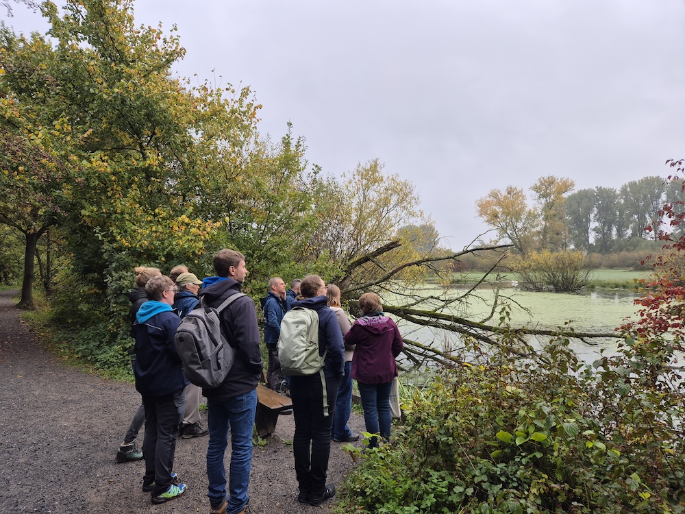 Wandelen door de Urdenbacher Kämpe