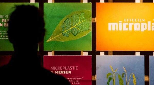 tentoonstelling De Bastei