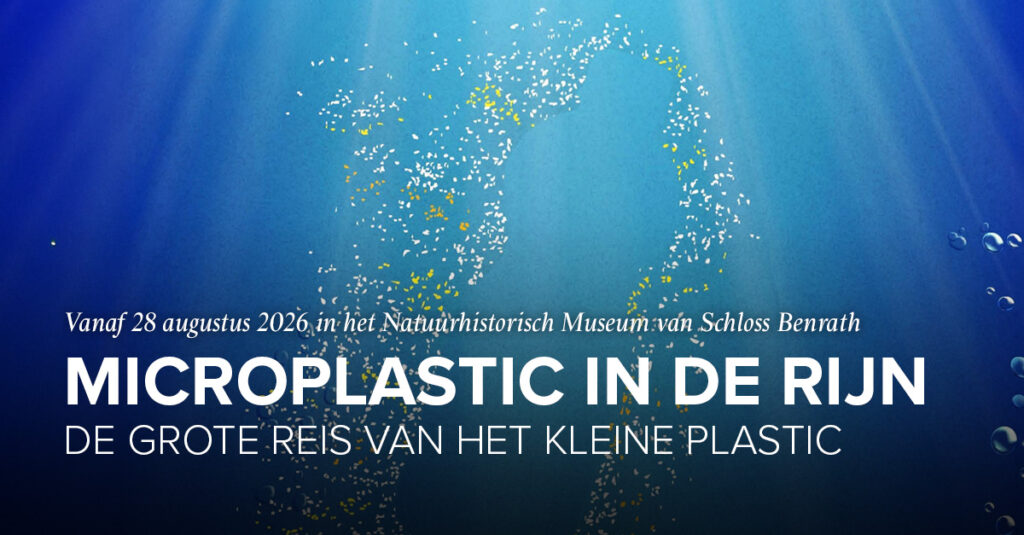 Microplastic in de Rijn