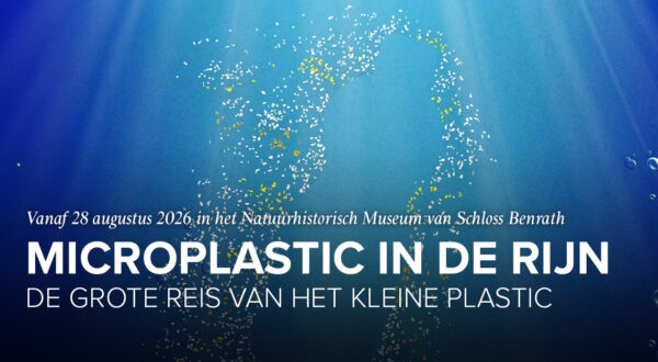 Microplastic in de Rijn
